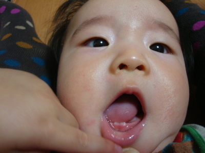 DSC036770003.jpg
