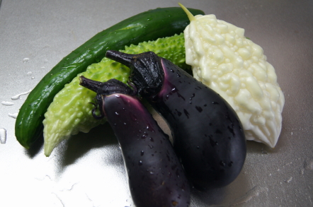 DSC083260004.jpg