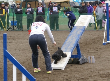 AG3番