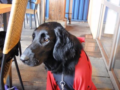 DSC01423_convert_20120415080953.jpg