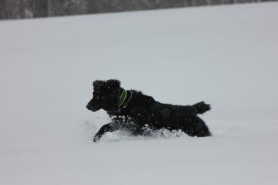 IMG_2025_convert_20120329160102.jpg