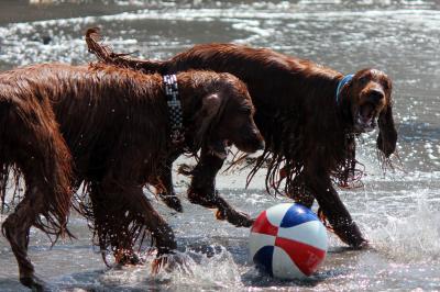 IMG_2461_convert_20120402123424.jpg