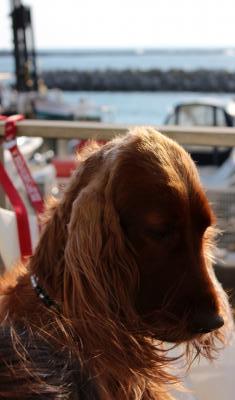 IMG_2581_convert_20120402134842.jpg