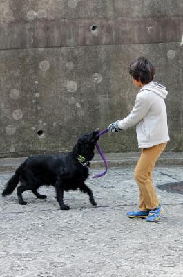 IMG_2742_convert_20120404152040.jpg
