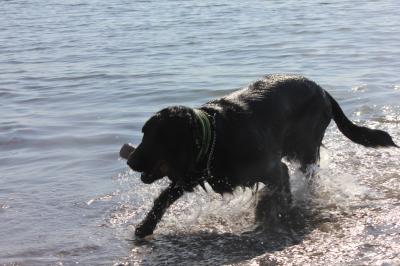 IMG_2828_convert_20120408215406.jpg
