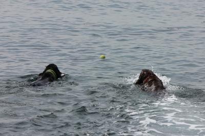 IMG_2961_convert_20120415175648.jpg