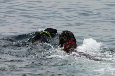 IMG_2962_convert_20120415175910.jpg