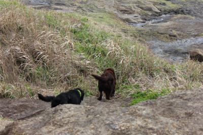 IMG_3043_convert_20120416214913.jpg