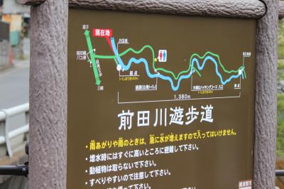 IMG_3375_convert_20120422173257.jpg
