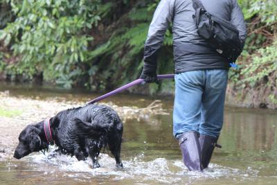 IMG_3381_convert_20120422173640.jpg