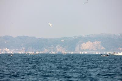 IMG_3530_convert_20120429195507.jpg