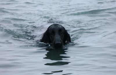 IMG_3807_convert_20120430100404.jpg