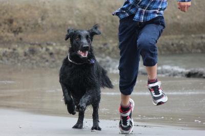 IMG_3968_convert_20120430180421.jpg