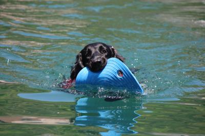 IMG_4119_convert_20120506105431.jpg
