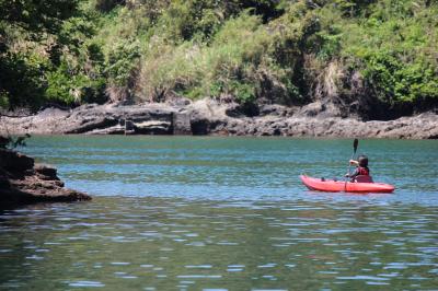 IMG_4120_convert_20120506111135.jpg