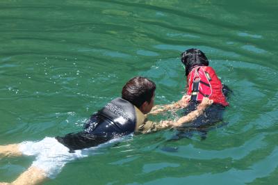 IMG_4145_convert_20120506113200.jpg