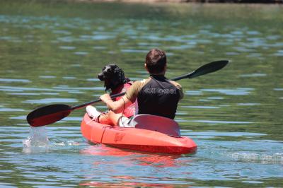 IMG_4167_convert_20120506112147.jpg