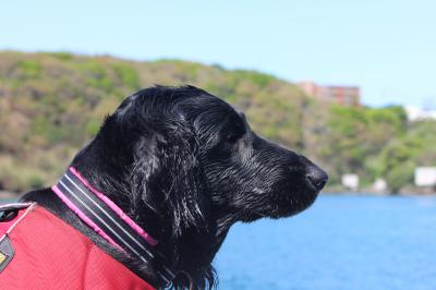 IMG_4192_convert_20120506115328.jpg