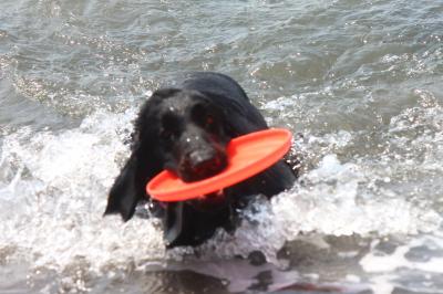 IMG_4250_convert_20120506171615.jpg