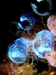 130323blogf.jpg