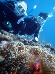 130412blogh.jpg