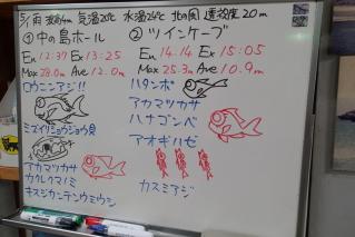 130501bloga.jpg