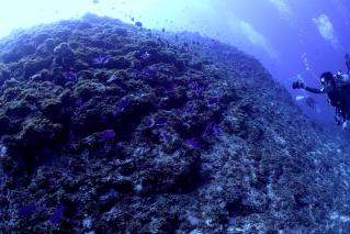 130502blogh.jpg