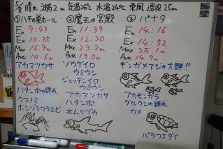 130508bloga.jpg