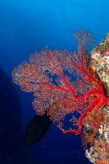 130508blogy.jpg