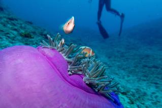 130510blogo.jpg