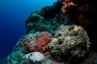 130604blogy.jpg
