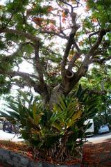 130606bloge.jpg