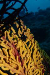 130614blogb.jpg