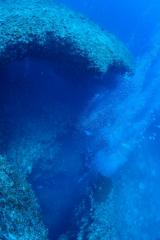 130701blogg.jpg