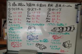 130705bloga.jpg