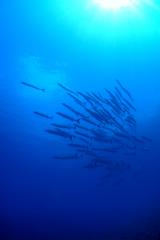 130705blogn.jpg