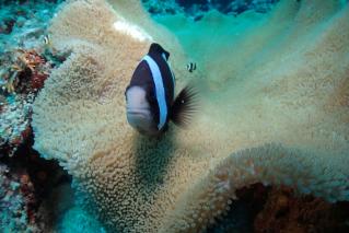 130718blogb.jpg