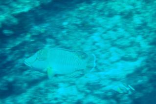130722blogb.jpg