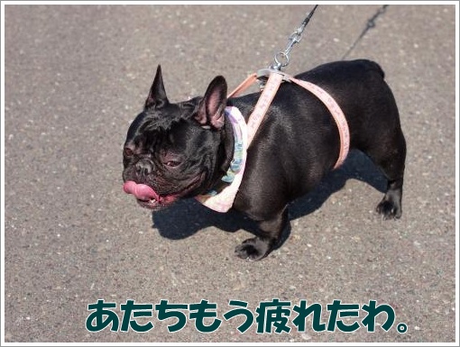20120407_3.jpg