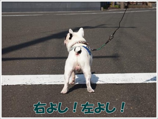 20120407_4.jpg