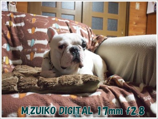 20120410_2.jpg