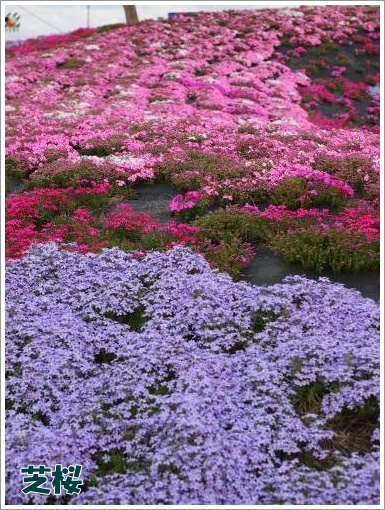 20120421_2.jpg