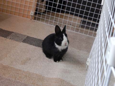 DSCN4326.jpg