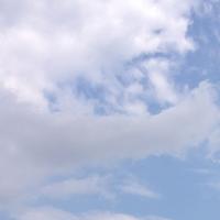 o0480048012572650417.jpg