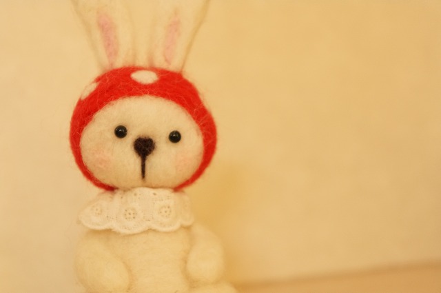 DSC03107.jpg