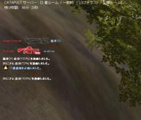 戦績