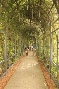IMG_3469 (200x300)