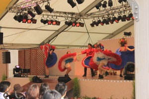 IMG_3514 (300x200)
