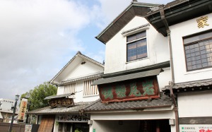 IMG_4177 (300x187)
