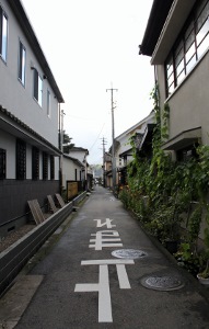 IMG_4171 (191x300)
